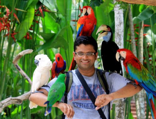 Bali Bird Park