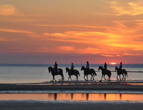 Bali Horse Riding